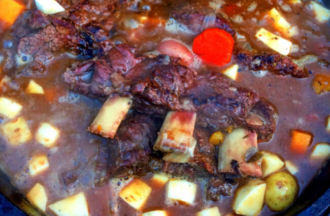beef rib stew